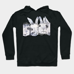 Bunz of Disapproval Hoodie